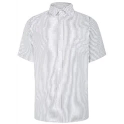 Bigdude Striped Short Sleeve Shirt Grey/White