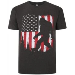 Bigdude Stars & Stripes Print T-Shirt Charcoal