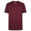 Bigdude Heavy Weight Plain T-Shirt Burgundy