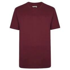 New Arrival 22 Bigdude Heavy Weight Plain T-Shirt Burgundy