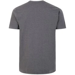 Bigdude Plain Crew Neck T-Shirt Charcoal -Casual Suit For Men Sales Store 6512ad99 bd101 04 charcoal 2