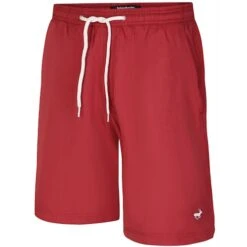 Bigdude Plain Swim Shorts Burgundy