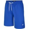 Bigdude Plain Swim Shorts Royal