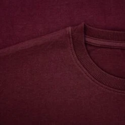 Bigdude Cut & Sew Lion Print T-Shirt Burgundy -Casual Suit For Men Sales Store a8a18df4 img 8641