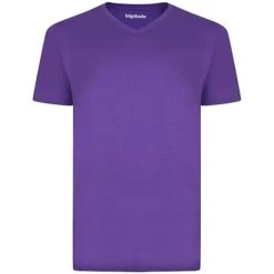Bigdude Plain V-Neck T-Shirt Purple
