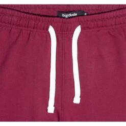 Bigdude Basic Joggers Burgundy -Casual Suit For Men Sales Store img 2114 1
