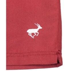 Bigdude Plain Swim Shorts Burgundy -Casual Suit For Men Sales Store img 7416 clipped rev 1 1