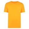 Bigdude Plain Crew Neck T-Shirt Orange