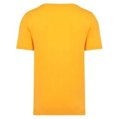Bigdude Plain Crew Neck T-Shirt Orange -Casual Suit For Men Sales Store plain crewe neck tshirt orange 3