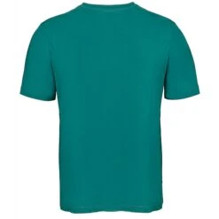 Bigdude Plain Crew Neck T-Shirt Green -Casual Suit For Men Sales Store tshirt green back